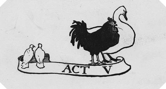 Act 5 drawing of birds